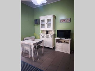 Bilocale in Affitto a Torino, zona Mirafiori, 450&euro;, 25 m², arredato
