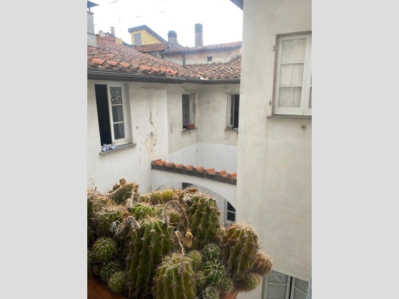 Appartamento in Affitto a Sarzana, 1'000&euro;, 183 m²