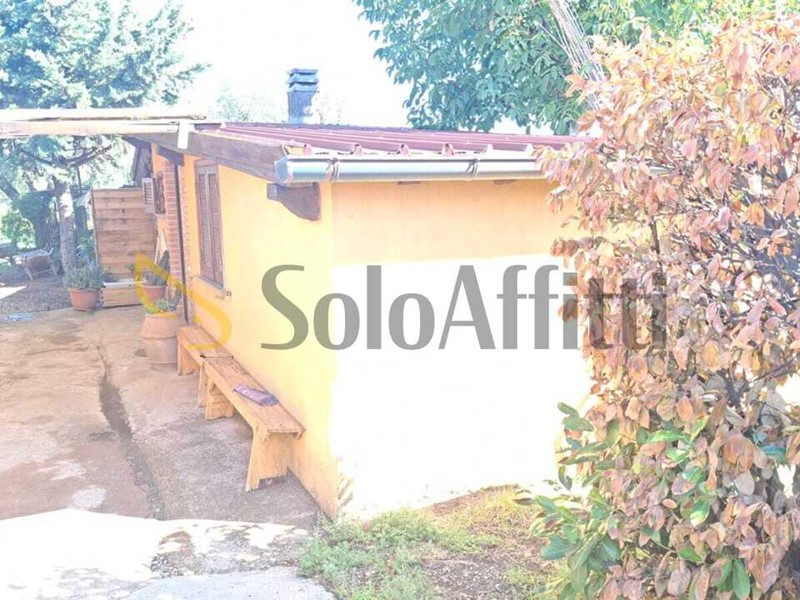 Monolocale in Affitto a Frascati, 500&euro;, 20 m², arredato