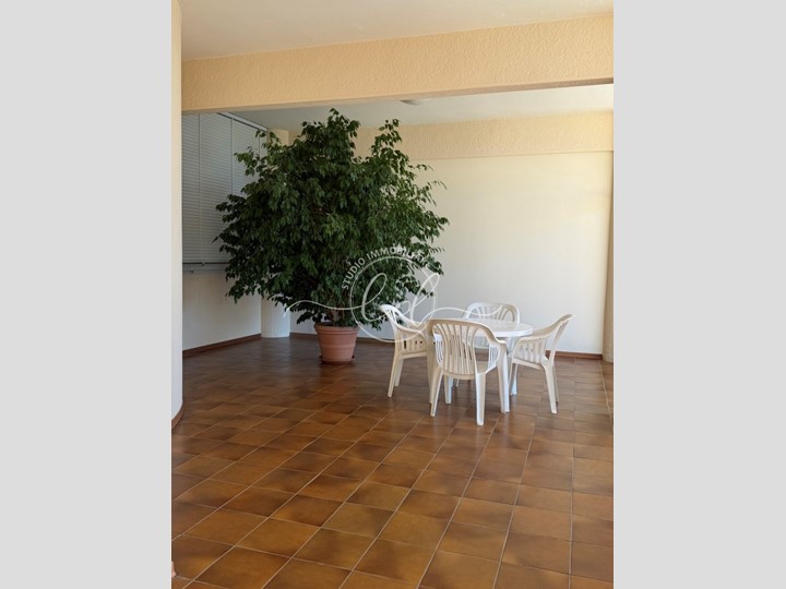 Monolocale in Affitto a Pietrasanta, zona Marina Di Pietrasanta, 600&euro;, 35 m², arredato