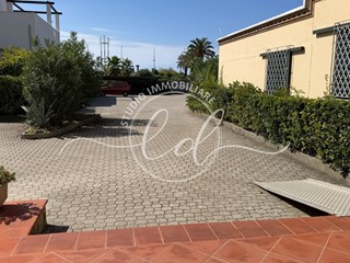 Monolocale in Affitto a Pietrasanta, zona Marina Di Pietrasanta, 600&euro;, 35 m², arredato