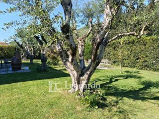 Quadrilocale in Vendita a Massarosa, 275'000&euro;, 100 m²