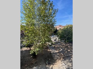 Bilocale in Vendita a Torino, zona mirafiori sud, 140'000&euro;, 69 m²