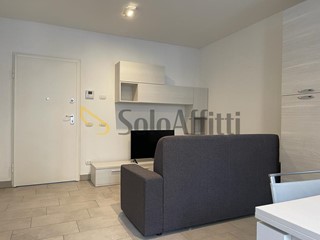 Bilocale in Affitto a Gallarate, zona Centro, 1'200&euro;, 50 m², arredato, con Box