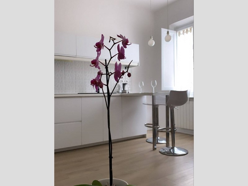 Bilocale in Affitto a Firenze, 1'100&euro;, 55 m²
