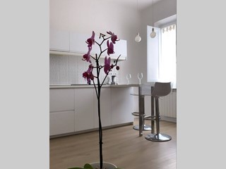 Bilocale in Affitto a Firenze, 1'100&euro;, 55 m²