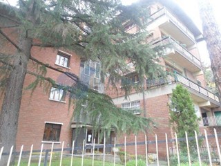 Bilocale in Affitto a Bologna, zona 19.S.Mamolo, 800&euro;, 50 m², arredato