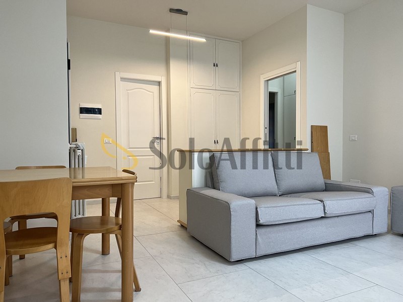 Appartamento in Affitto a Pavia, zona Viale Campari, 900&euro;, 90 m², arredato, con Box