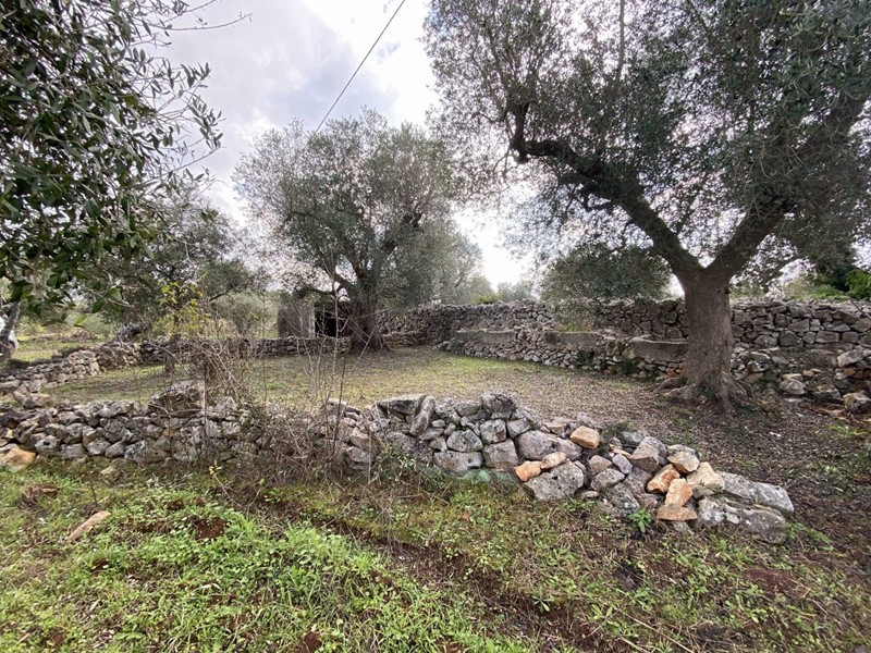 Appartamento in Vendita a Ceglie Messapica, 190'000&euro;, 210 m²