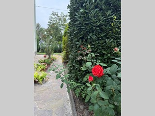 Appartamento in Affitto a Modena, 728&euro;, 100 m²