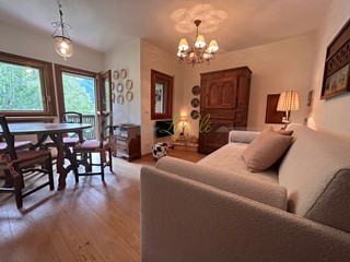 Bilocale in Affitto a Courmayeur, zona La Saxe, 40 m², arredato