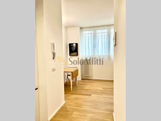 Bilocale in Affitto a Milano, zona Washington - Foppa, 1'200&euro;, 39 m², arredato