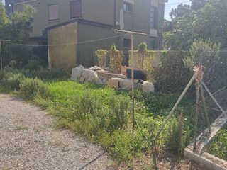Appartamento in Vendita a Adria, 50'000&euro;, 75 m², con Box
