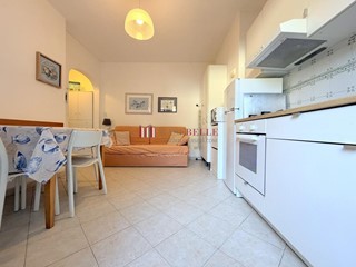 Bilocale in Affitto a Pietrasanta, zona Tonfano, 1'500&euro;, 55 m², arredato