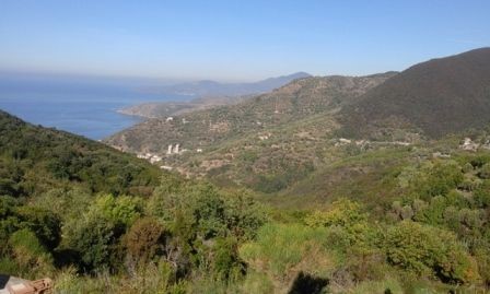 Casa Indipendente in Vendita a Pisciotta, zona Collinare, 157'000€, 119 m², con Box