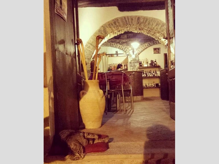 Negozio in Affitto a Pisciotta, zona Rodio, 80 m², arredato