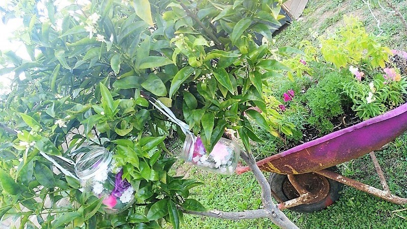 Villa bifamiliare in Vendita a Ladispoli, zona Campo Sportivo, 220'000€, 80 m²