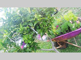 Villa bifamiliare in Vendita a Ladispoli, zona Campo Sportivo, 220'000€, 80 m²