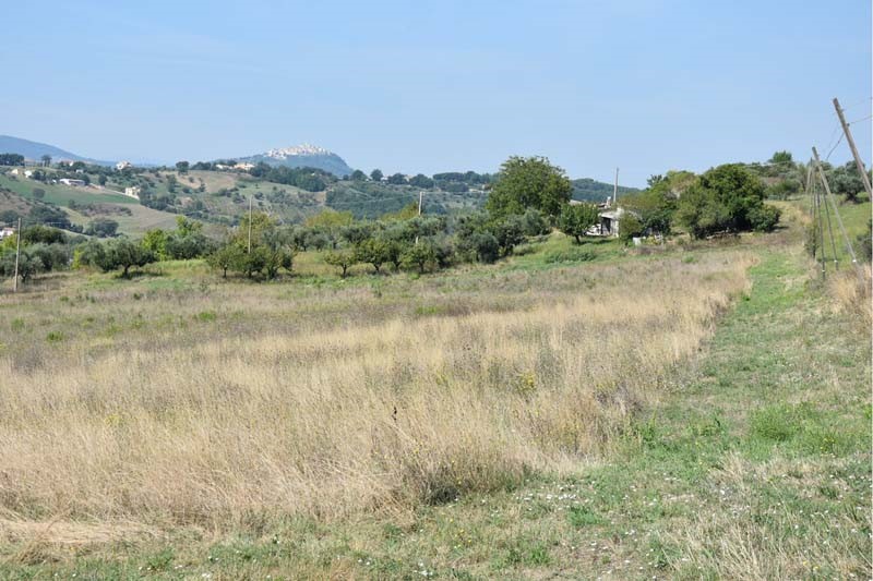 Terreno agricolo in Vendita a Campodipietra, zona Contrada Spinapoce, 500'000€, 82.000