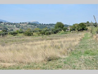 Terreno agricolo in Vendita a Campodipietra, zona Contrada Spinapoce, 500'000€, 82.000