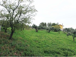 Terreno agricolo in Vendita a Marino, zona PASCOLARO 2 SANTI, 90'000€, 3500 m²