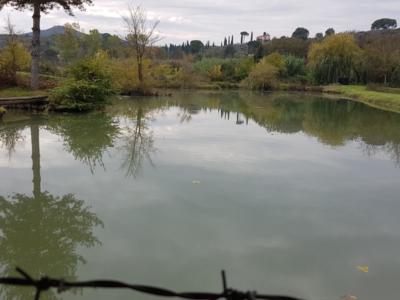 Terreno agricolo in Vendita a Palombara Sabina, zona PALOMBARA SABINA, 249'000&euro;, 40000 m²