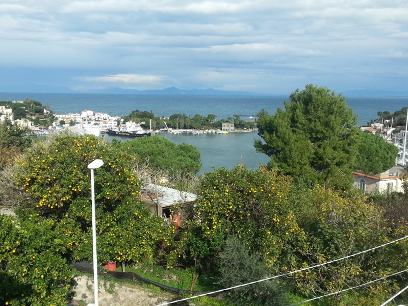Villa in Vendita a Ischia, zona PORTO, 1'900'000€, 400 m²