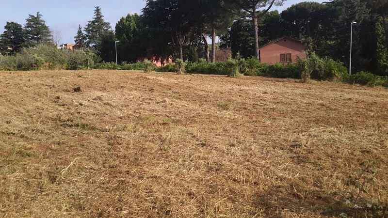 Terreno agricolo in Vendita a San Cesareo, zona La Noce, 38'000€, 2000 m²