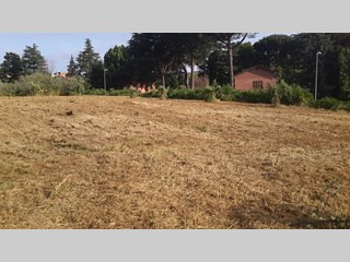 Terreno agricolo in Vendita a San Cesareo, zona La Noce, 38'000€, 2000 m²