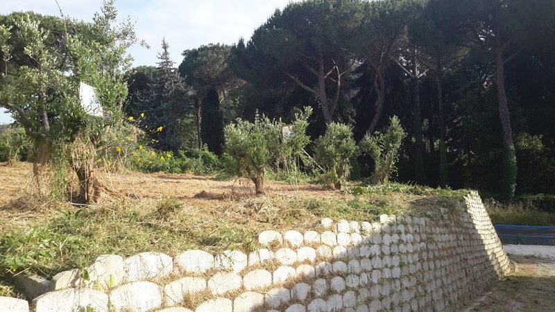 Terreno agricolo in Vendita a San Cesareo, zona la Noce, 18'000€, 1000 m²