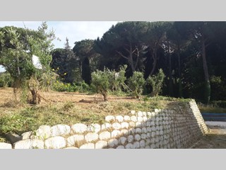 Terreno agricolo in Vendita a San Cesareo, zona la Noce, 18'000€, 1000 m²