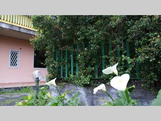 Villetta a schiera in Vendita a Giarre, zona trepunti, 90'000€, 90 m², arredato