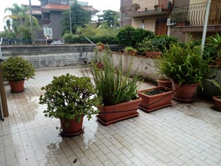 Trilocale in Vendita a Aci Sant'Antonio, zona S M.LA STELLA, 103'000€, 85 m²