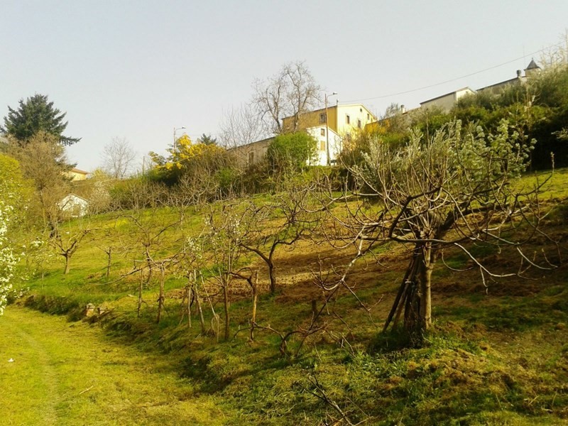 Terreno edificabile in Vendita a Rovito, zona Motta, 95'000€