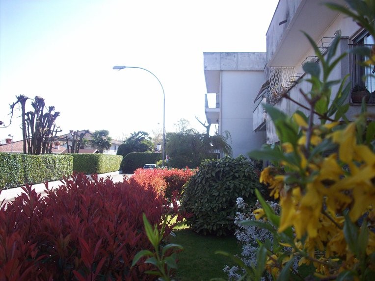 Bilocale in Vendita a Castelletto sopra Ticino, 85'000€, 55 m²