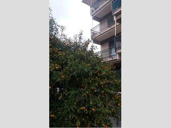 Trilocale in Vendita a Lavagna, zona Via Garibaldi 80, 230'000€, 60 m², arredato