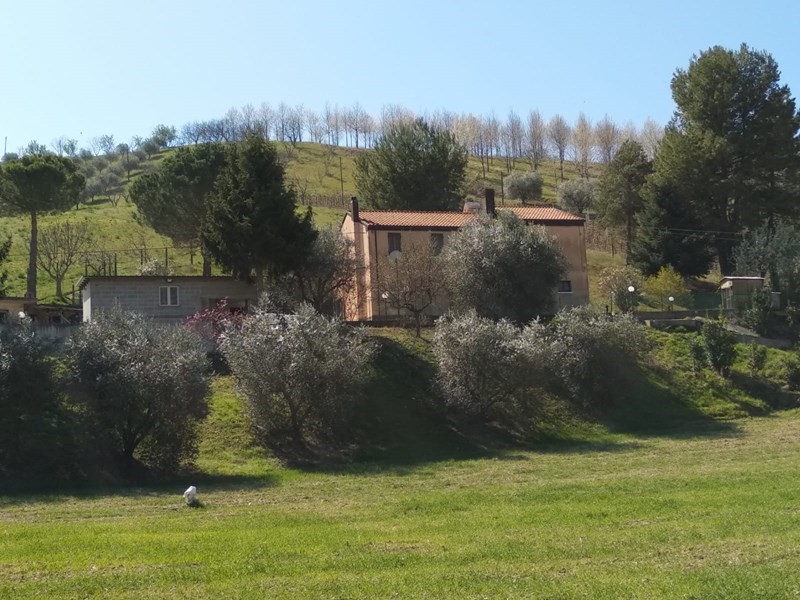 Appartamento in Affitto a Grottammare, zona cabiano, 120€, 300 m², arredato, con Box