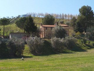 Appartamento in Affitto a Grottammare, zona cabiano, 120€, 300 m², arredato, con Box