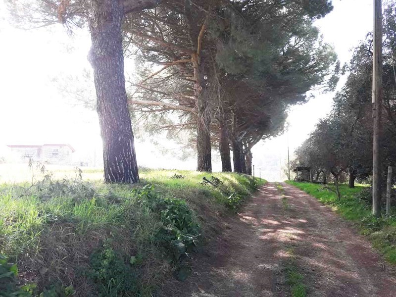 Terreno agricolo in Vendita a Marino, zona ACQUAFREDDA, 95'000€, 8538 m²