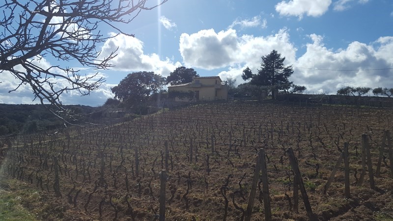 Casale in Vendita a Luras