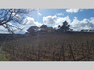 Casale in Vendita a Luras