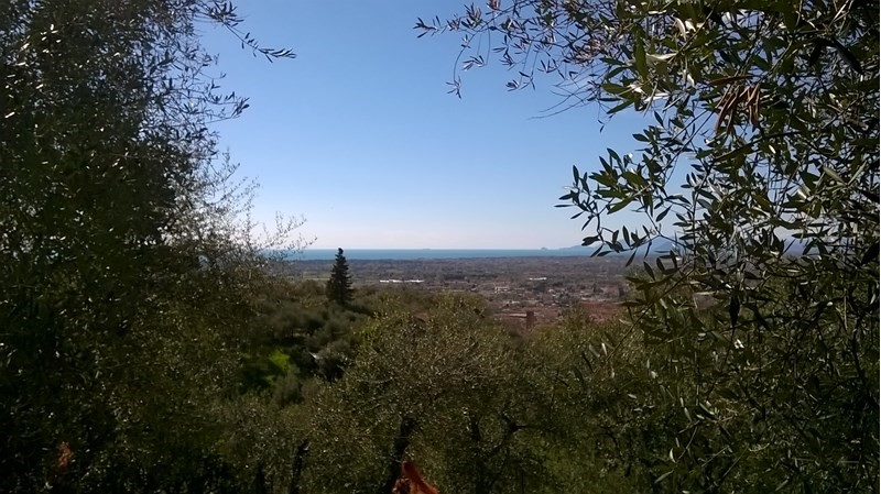 Terreno agricolo in Vendita a Pietrasanta, zona CAPEZZANO MONTE, 135'000€, 350 m²