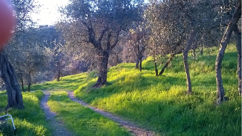 Rustico in Affitto a Uzzano, zona STIGNANO, 1'000€, 50 m², arredato