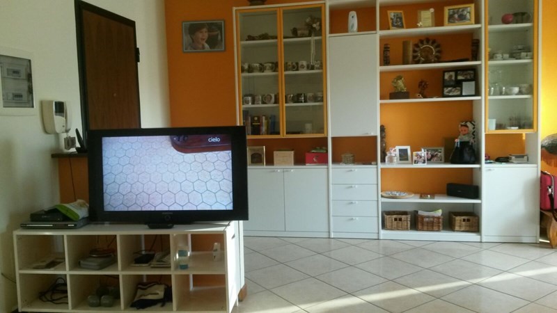 Trilocale in Affitto a San Felice sul Panaro, zona di fronte al nuovo polo scolastico, 550€, 100 m²