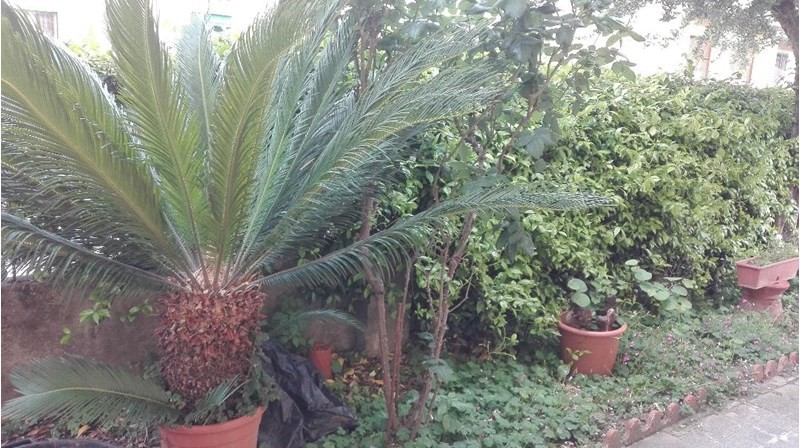 Appartamento in Vendita a Scandicci, 305'000€, 90 m²