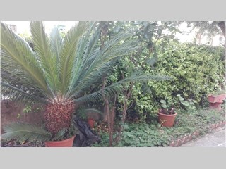 Appartamento in Vendita a Scandicci, 305'000€, 90 m²