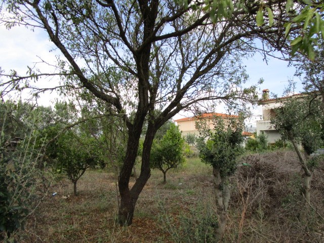 Terreno edificabile in Vendita a Olbia, zona via Mercurio 18, 115'000€, 540 m²
