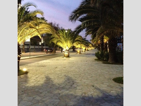 Bilocale in Affitto a San Benedetto del Tronto, zona Porto D'Ascoli, 50 m², arredato