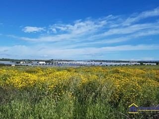 Terreno edificabile in Vendita a Noto, 30'000€, 14337 m²