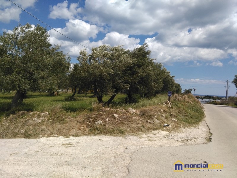 Terreno edificabile in Vendita a Pachino, 3800 m²